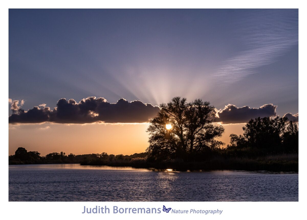 Zonsondergang in de Brabantse Biesbosch met JBNsloep