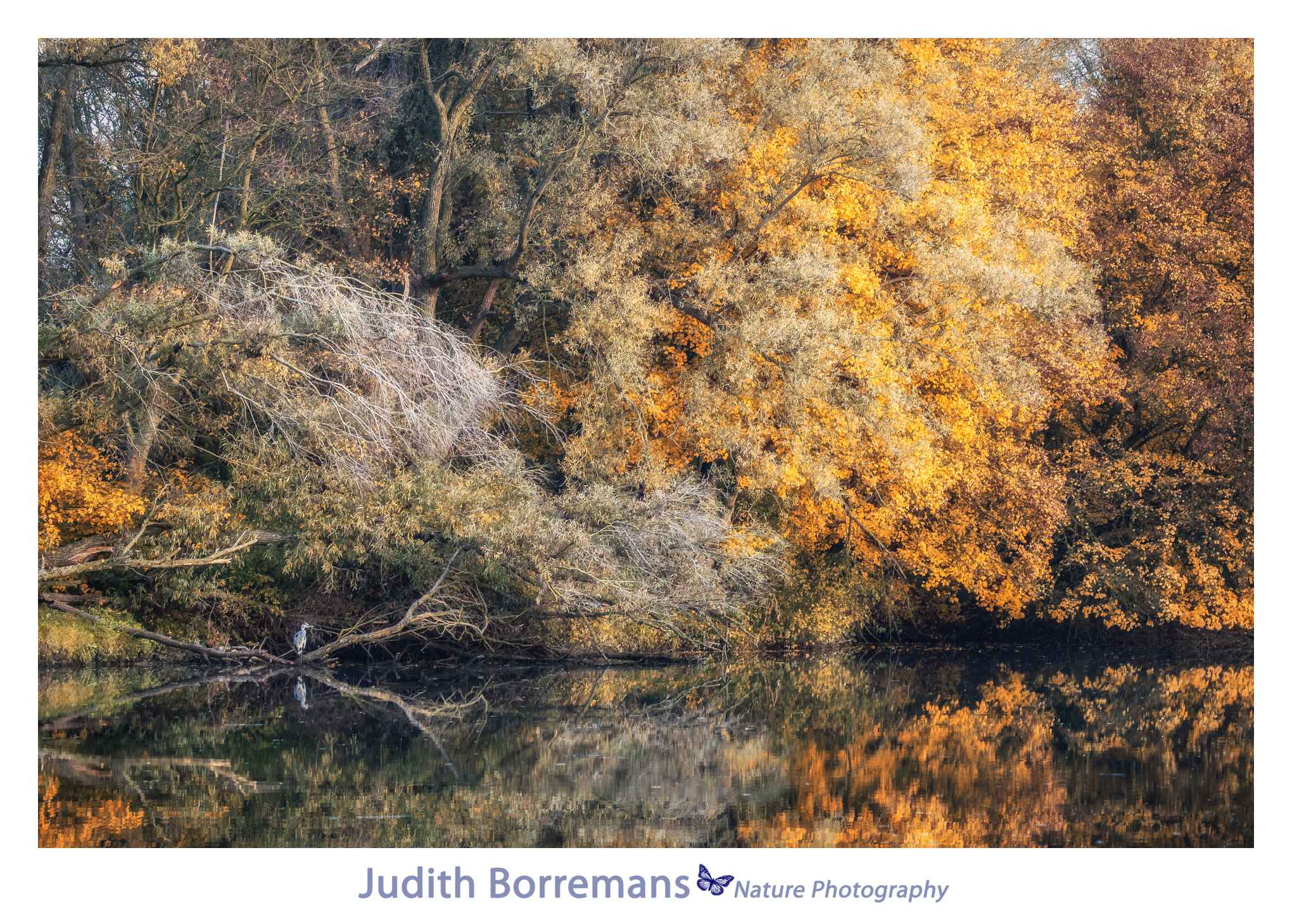 Herfst in de Brabantse Biesbosch met JBN Sloep