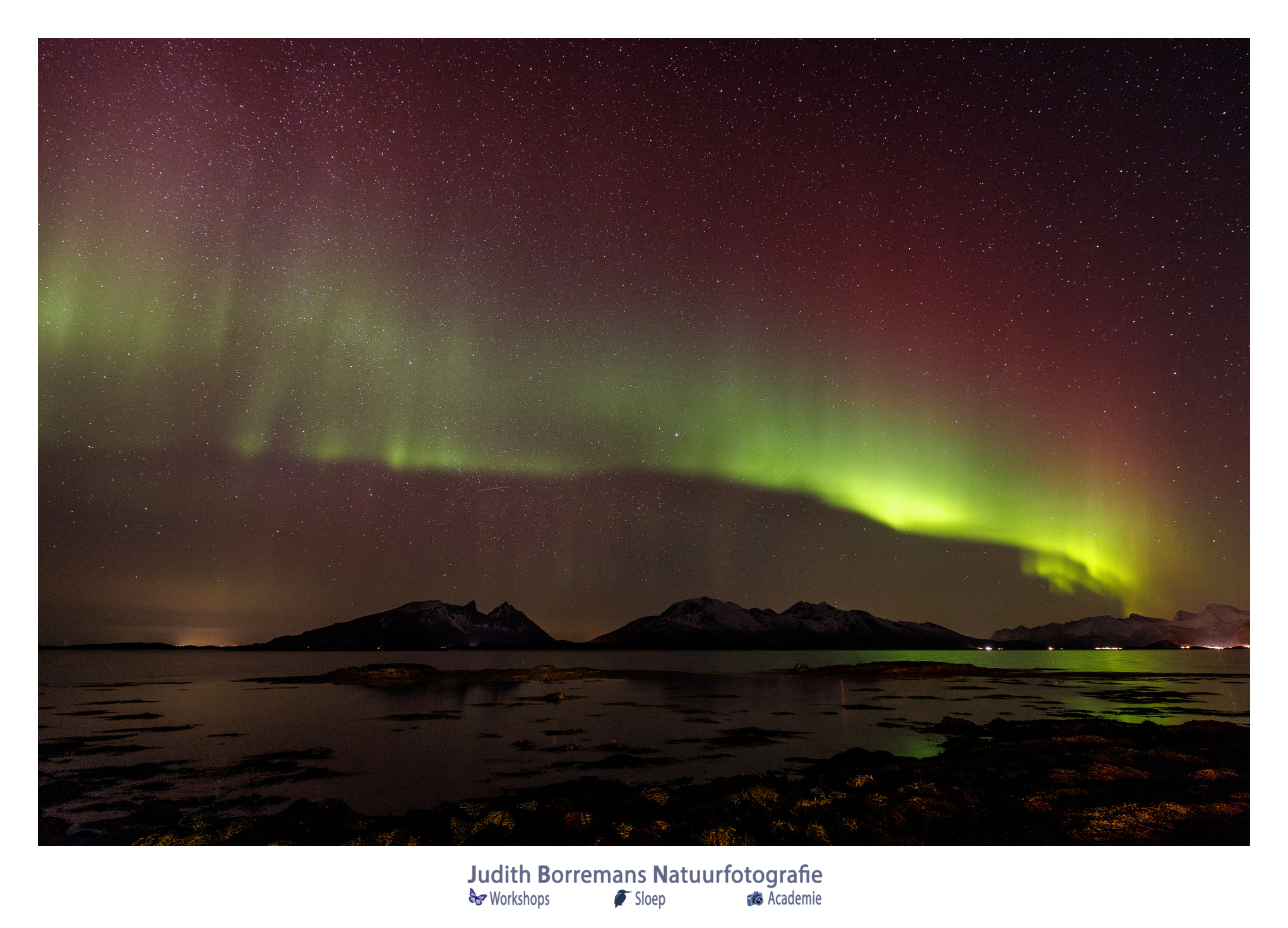 Noorderlicht tijdens JBN fotoreis in Noorwegen-2