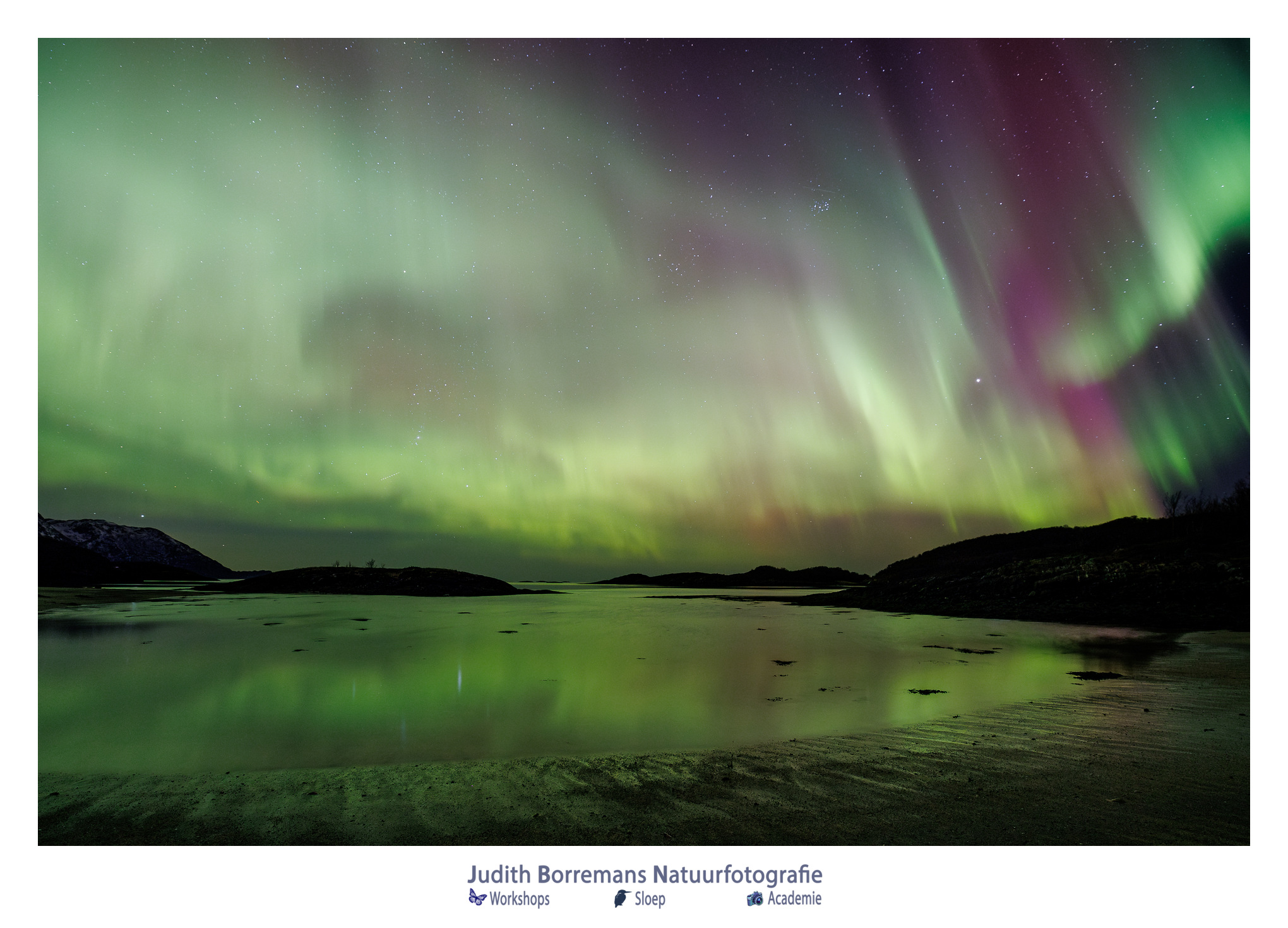 Noorderlicht tijdens JBN fotoreis in Noorwegen