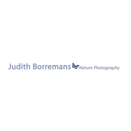 Judith Borremans Natuurfotografie