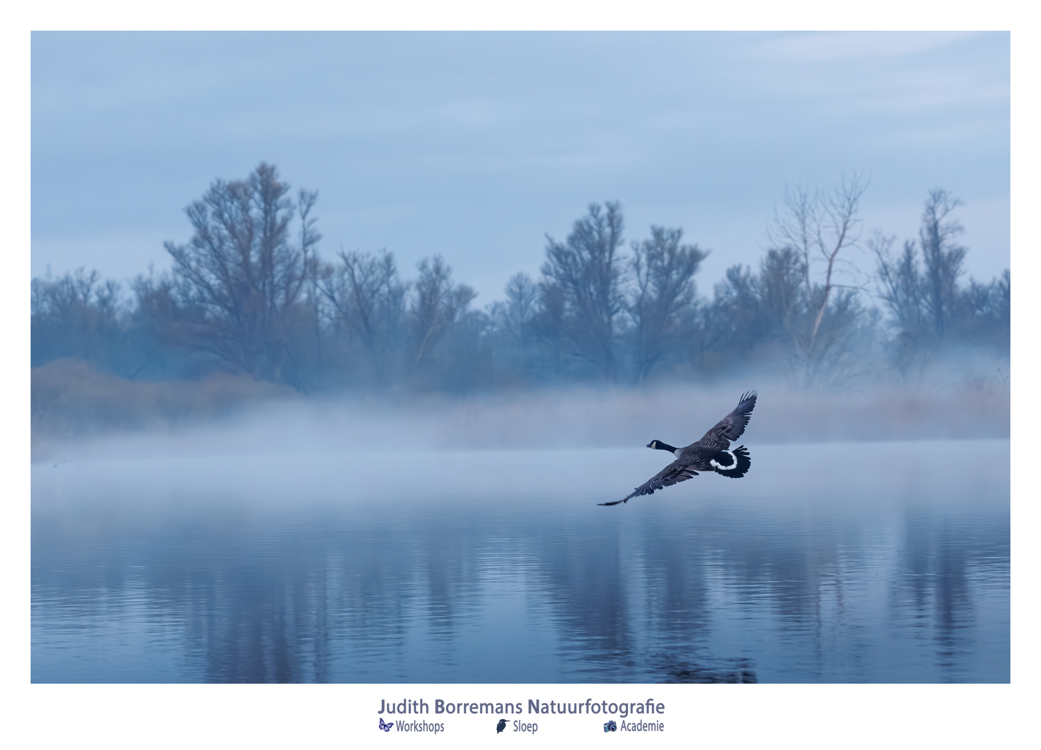 feervolle nevel boven het water in de Biesbosch tijdens zonsopkomst