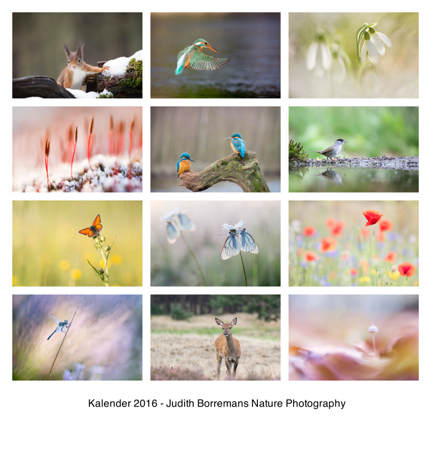 Natuurkalender 2016 - Judith Borremans Natuurfotografie