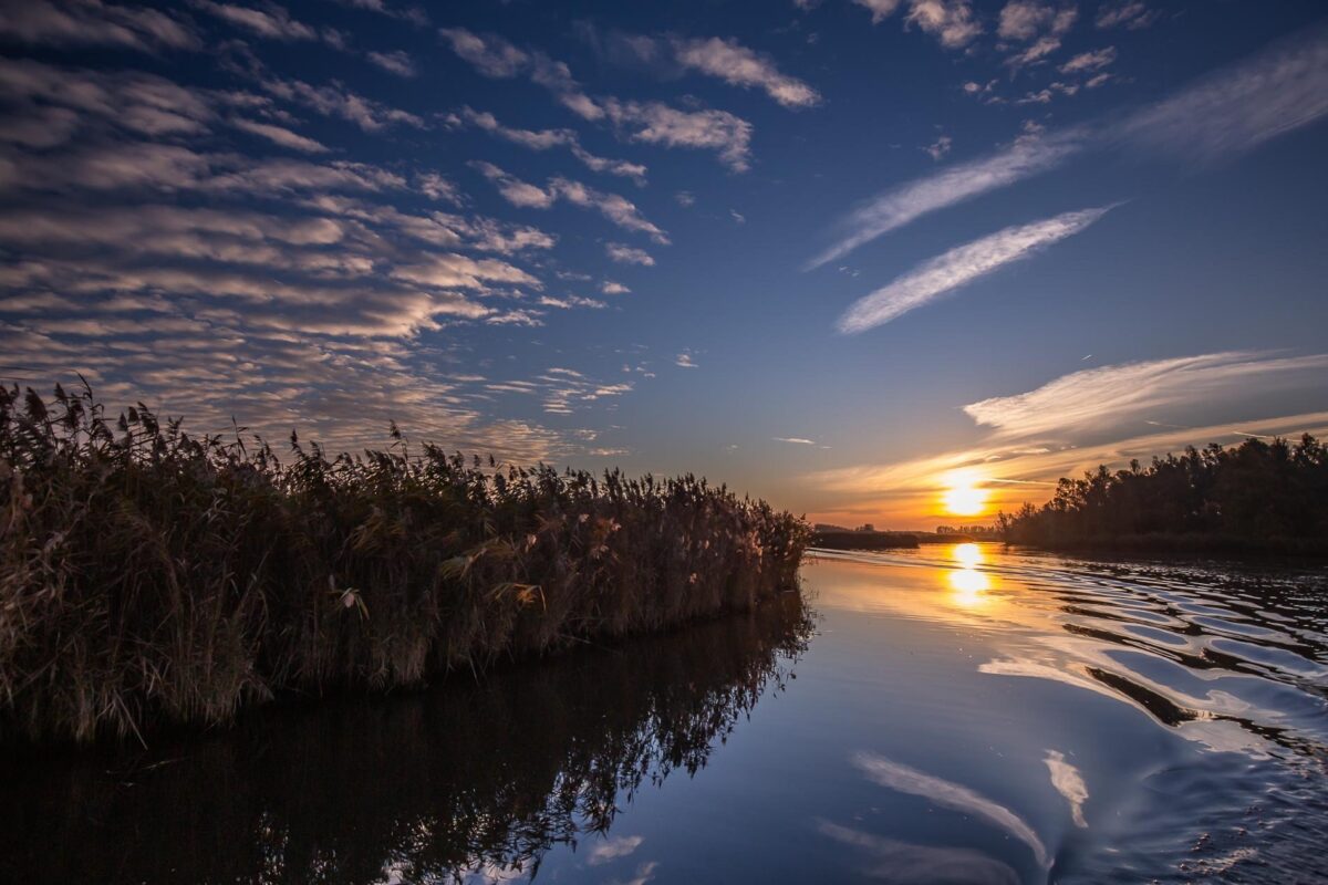 Brabantse Biesbosch met JBNsloep