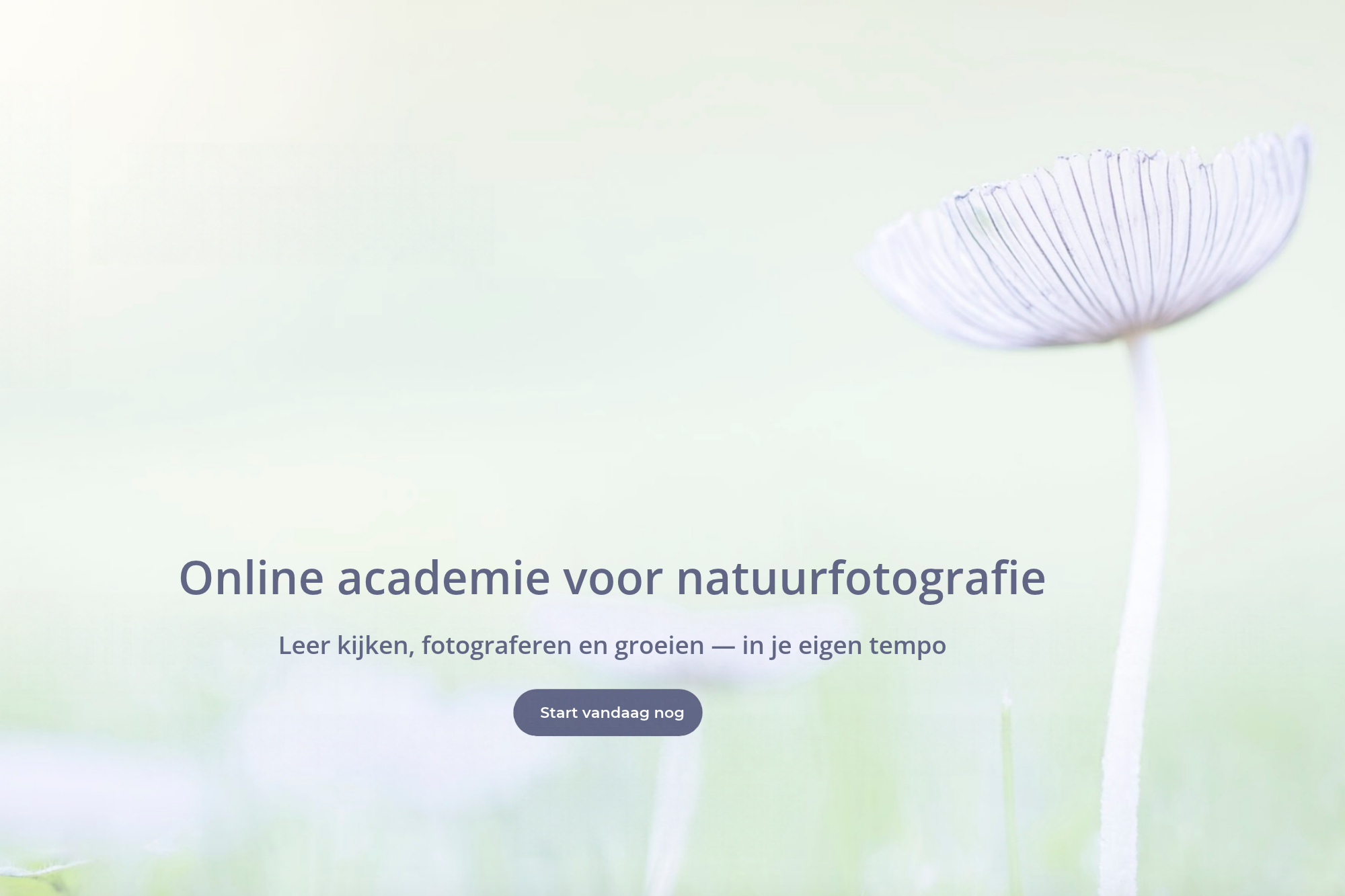 JBN academie, de online leeromgeving voor natuurfotografie.