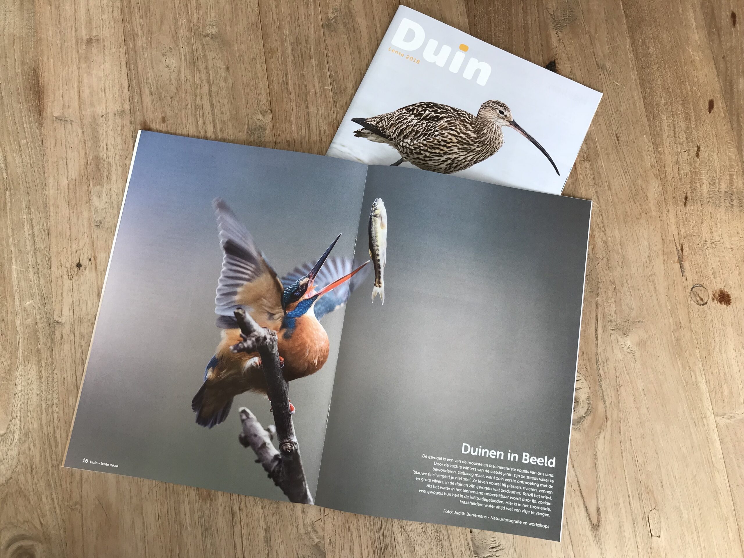 publicatie magazine Duin